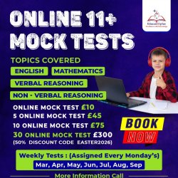 30 ONLINE MOCK TESTS FOR ONLY £300