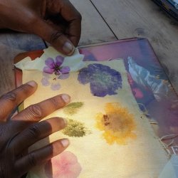 Children's Sun and Plant Printing