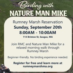 Birding with Nature Man Mike at Rumney Marsh - Sep 20
