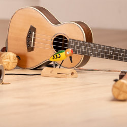 Noves propostes de repertori i activitats d'Estimulació Musical Totsona- Setembre 2026