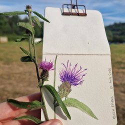 Sunday Stroll & Sketch
