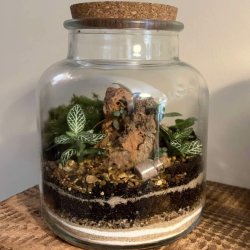 Closed Terrarium Workshop