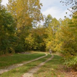 4-day Peak Leaf Season C&O Canal Bikepacking trip!