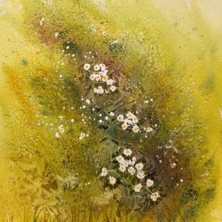 Wild Primroses Watercolour Workshop at Breezy Knees, Wednesday 14th April 2027