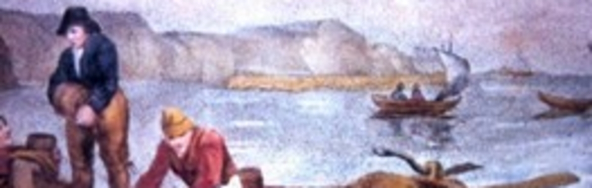 Lymington Society - Social Programme   - Talk - Nick Saunders – "A Major Armed Confrontation with Smugglers at Naish."