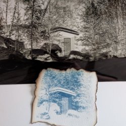 Cyanotype for All - Photo Edition