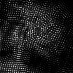 T09. Watergrams with Francisco Macfarlane