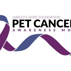 Pet Cancer Awareness