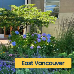 Thursday East Van Series June 18, 25, July 2, 9, 16