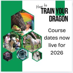 How to Train Your Dragon: Principles of Horsemanship and General Practice