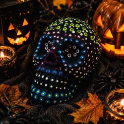 Beginners Mandala style painted mini skull