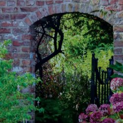Scent of Spring