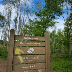 Burroughs Woods & Whittington Rough Circular