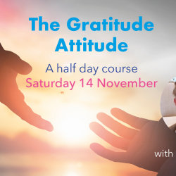 The Gratitude Attitude