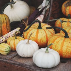 Autumn Equinox Gathering