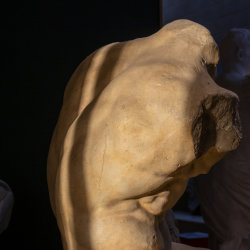 Sunlight and shadows fall on the muscled back of the Belvedere Torso