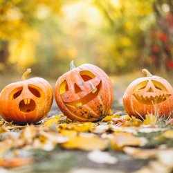 Halloween Pumpkin Carving & Natural Crafts