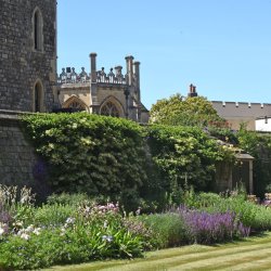 Windsor Castle Moat Garden