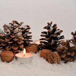 Candle and pine cones