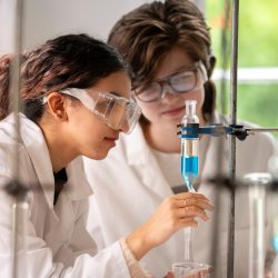 Chemistry at RIC