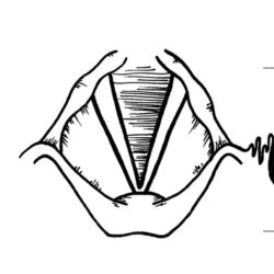 The Actor's Voice with Patsy Rodenburg