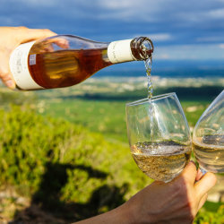 Rosé-Tinted Glasses - Summer in a Glass