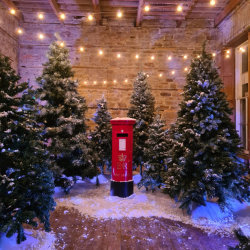 Father Christmas Experience & Lantern Trail