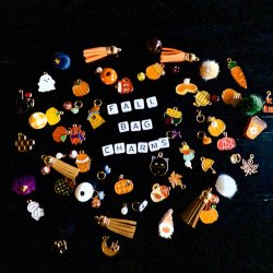 🌼 Crafts & Drafts: Fall Bag Charms