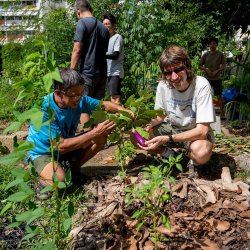 Two people gardening
