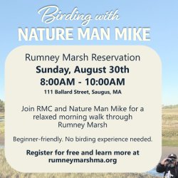 Birding with Nature Man Mike at Rumney Marsh