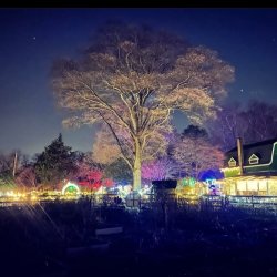 North Pole Lights