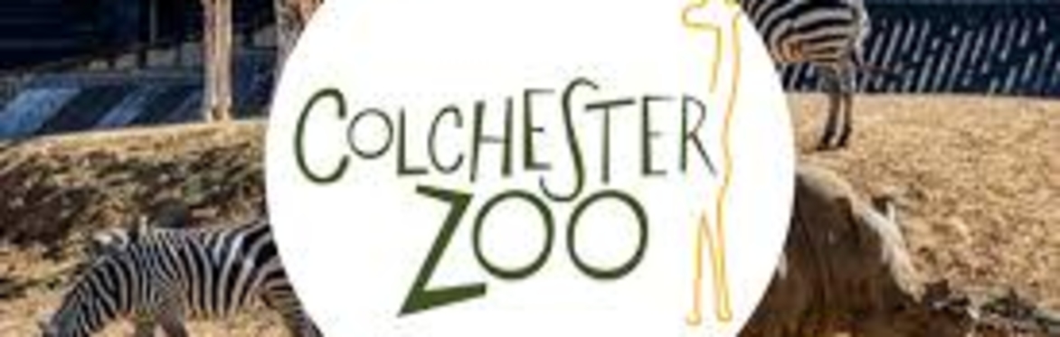 Colchester zoo group visit