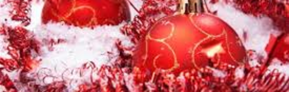 Sandown and Lake Branch Christmas Lunch