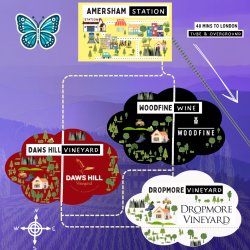 Blue Line Chiltern Wine Tour - 15th August 2026 - (2 vineyards)