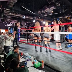 Britannia Fight Night