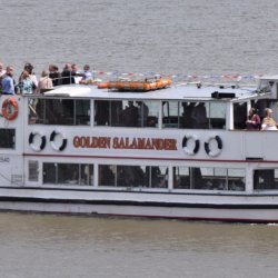 Midsummer Afternoon Tea Cruise