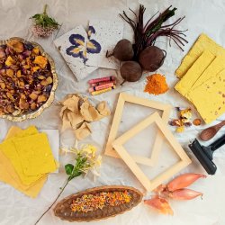 Botanical paper making