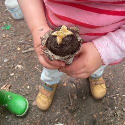 Woodland Toddlers - Ecclesall Woods (September)