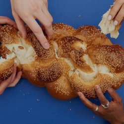 hands tearing chunks of a challah bread on a blue background