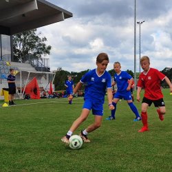 Zomerkamp: Hamont