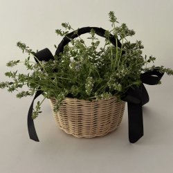 Underwater Basket Weaving