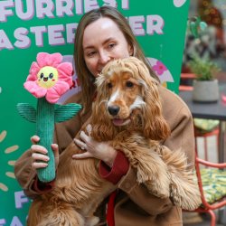 Cocker Spaniel Cafe - Oxford