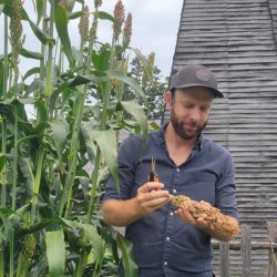 Out of the Weeds: Garden Maintenance 101