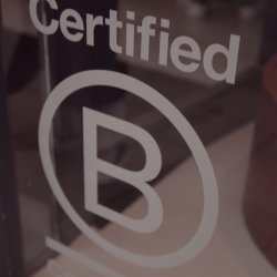 20 Years On: What's Next for BCorp?