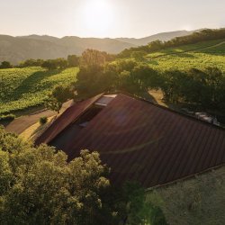 Chappellet: The Height of Napa Cabernet