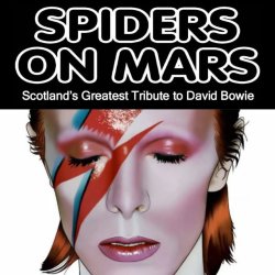 Spiders on Mars