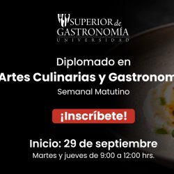 Diplomado en Artes Culinarias y Gastronomía Semanal matutino