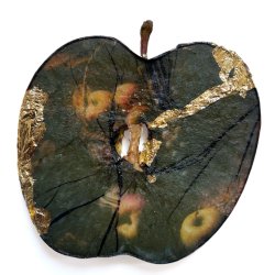 Polaroid Emulsion Lift by Riya Panwar