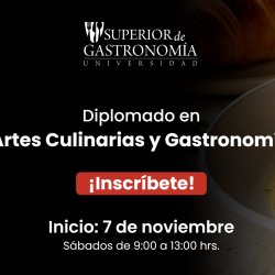 Diplomado en Artes Culinarias y Gastronomía Sabatino