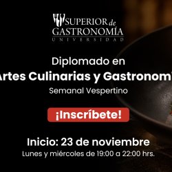 Diplomado en Artes Culinarias y Gastronomía Semanal Vespertino